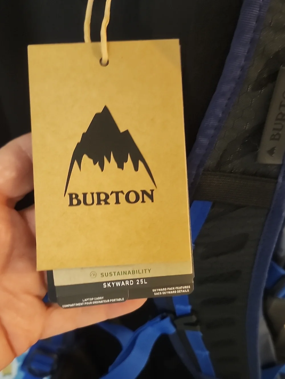 Burton Skyward 25L Backpack Tacital Campinig Hike NWT NEW